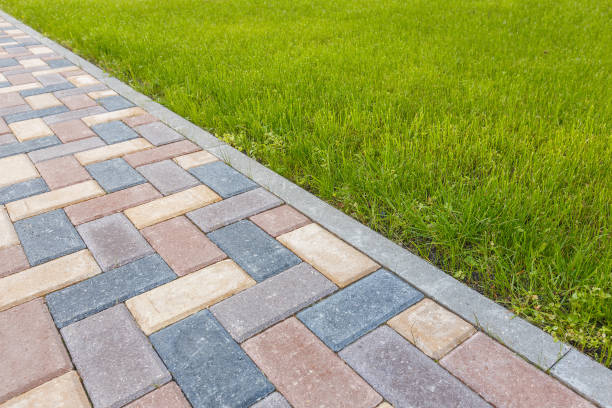 Best Driveway Pavers Near Me  in Farmington, NM